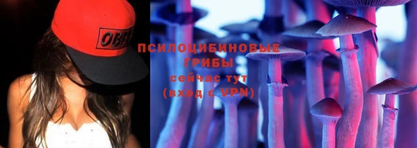 ешки Гусь-Хрустальный