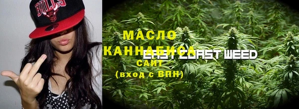 ешки Гусь-Хрустальный
