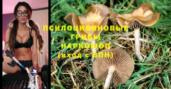 ешки Гусь-Хрустальный
