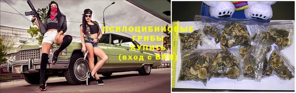 ешки Гусь-Хрустальный